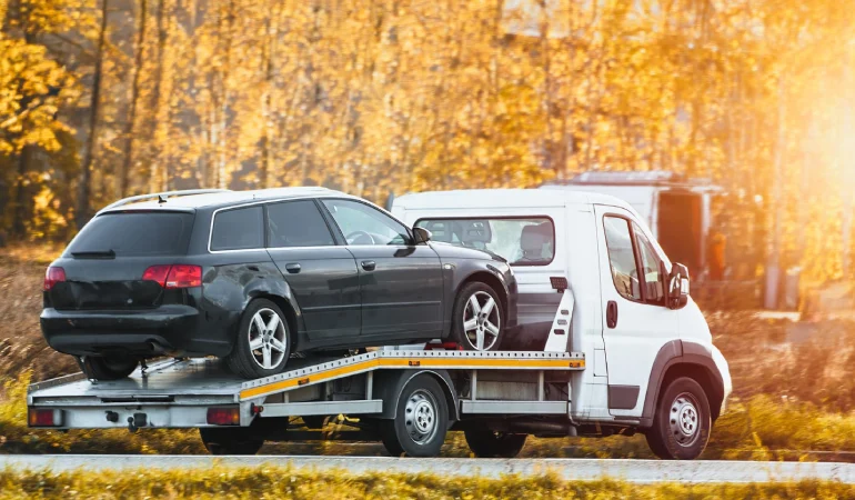 Başakşehir Çekici